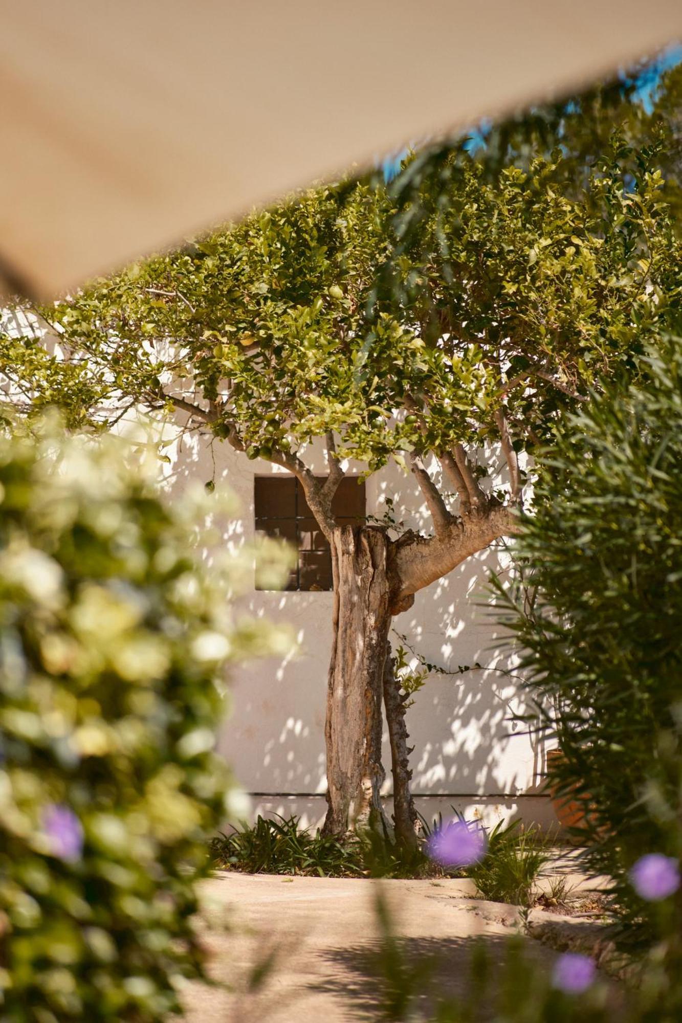 فندق The Guardian House Santa Gertrudis  المظهر الخارجي الصورة