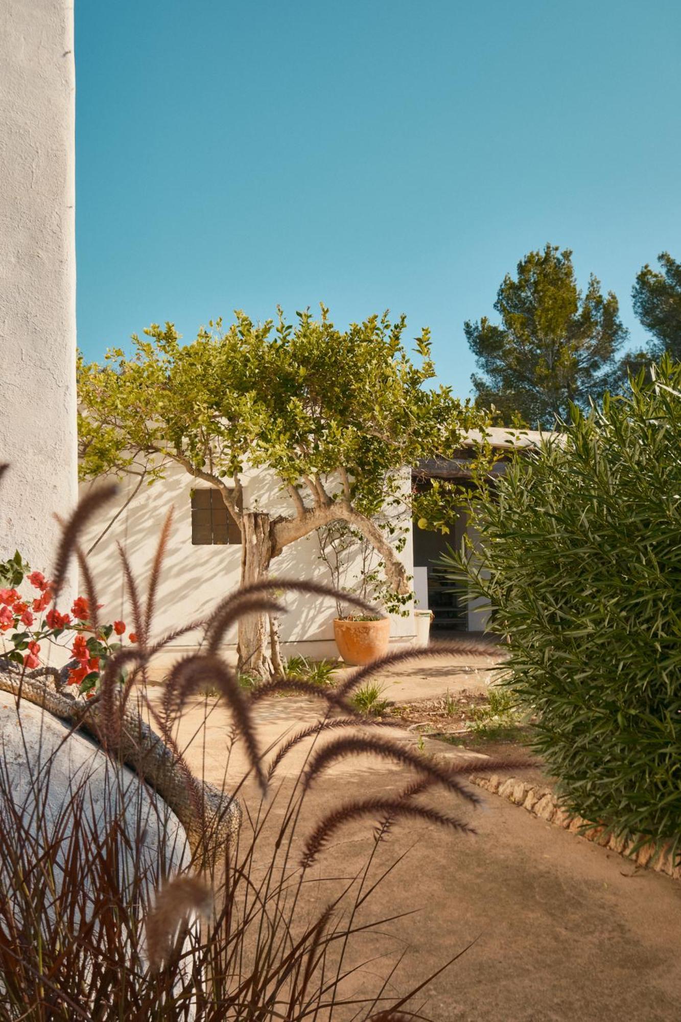 فندق The Guardian House Santa Gertrudis  المظهر الخارجي الصورة